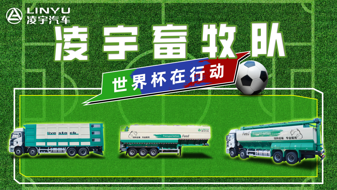 奪冠世界杯！你注意到這支球隊了嗎？